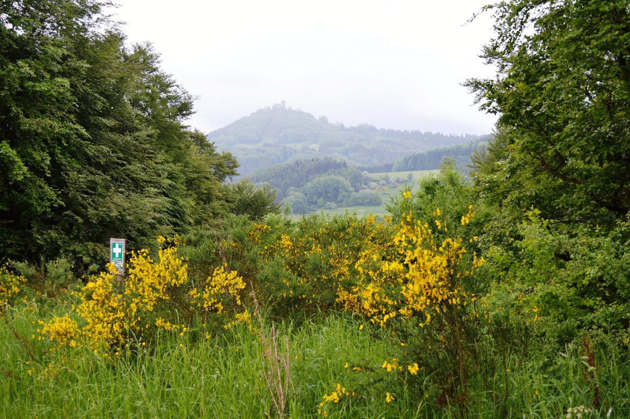 Franky House Am Nuerburgring Bed & Breakfast Quiddelbach Bagian luar foto